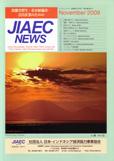 JIAEC NEWS2009N11\